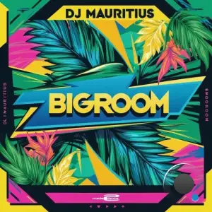 DJ Mauritius - Bigroom (2025)