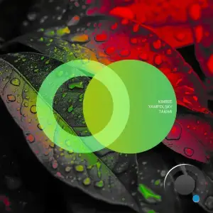 Kinree, YampolSky - Takimi (2025)