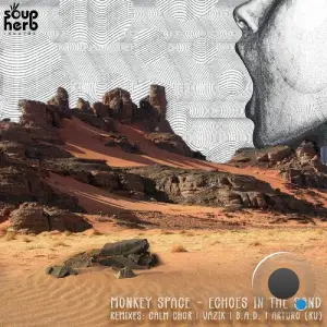 Monkey Space - Echoes in the Sand (2025)