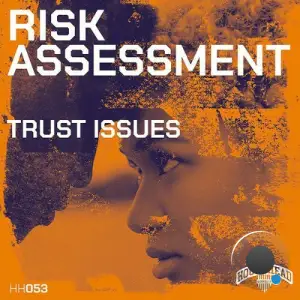 Risk Assessment - Trust Issues (2025)