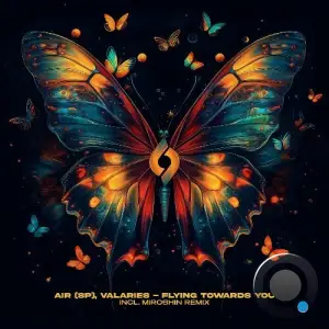 Air (SP), Valaries - Flying Towards You (2025)