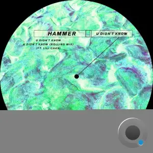 Hammer ft. Lili Chan - U Didn't Know (2025)