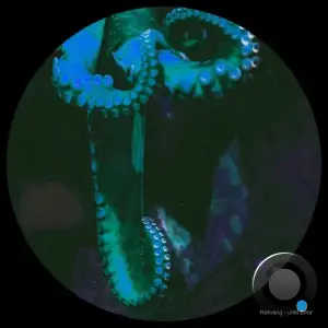 Rotwang - Unlit Error (2025)
