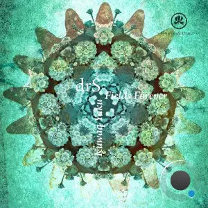 drS (FI) - Fields Forever / Kuwaq Yaku (2025)