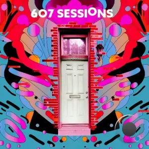 Josh Wink - 607 Sessions (2025)