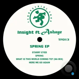 Insight - Spring (2025)