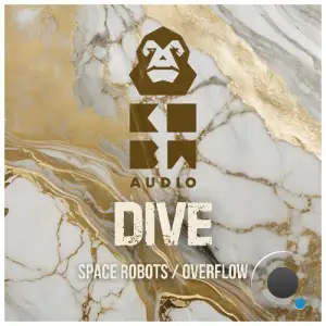 DIVE - Space Robots / Overflow (2025)