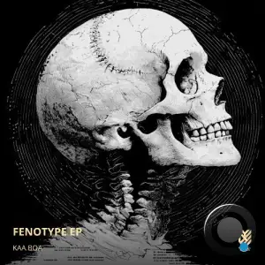 KAA BOA - Fenotype (2025)