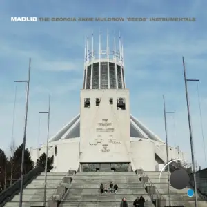Madlib - Seeds (Instrumentals) (2025)