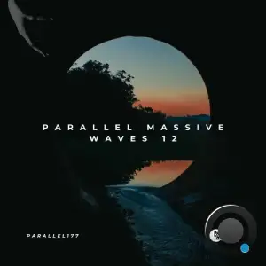 Parallel Massive Waves 12 (2025)