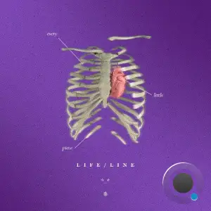 LIFE / LINE - Every Little Piece (2025)