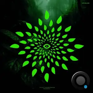 Traversable Message - Renacimiento (2025)
