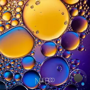 NueBoo - The Cosmos (2025)