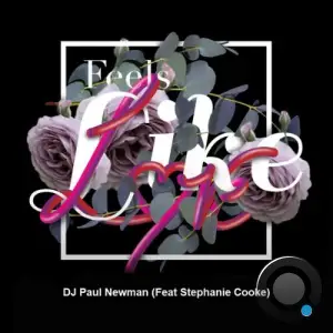 DJ Paul Newman x Stephanie Cooke - Feels Like Love (2025)