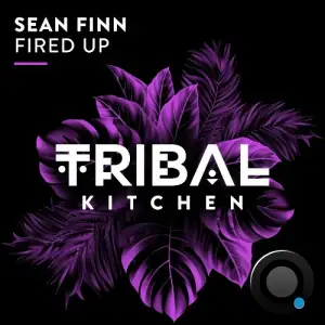Sean Finn - Fired Up (2025)