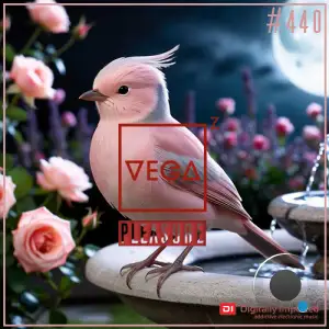 Vega Z - Pleasure 440 (2025-07-16)