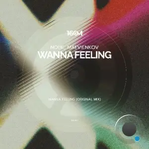 Nobe & Matvienkov - Wanna Feeling (2025)