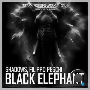 Shadows & Filippo Peschi - Black Elephant (2025)
