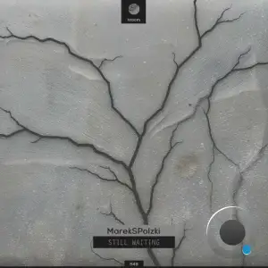 MarekSPolzki - Still Waiting (2025)