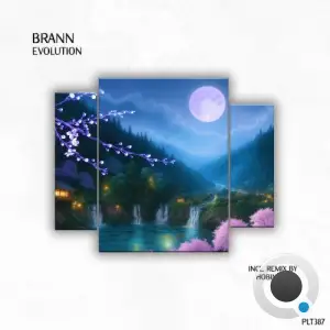Brann (AR) - Evolution (2025)
