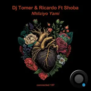 DJ Tomer, Ricardo ft. Shoba - Nhliziyo Yami (2025)