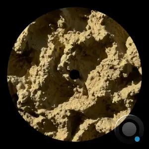 Franco Rossi - Phyllophaga (2025)