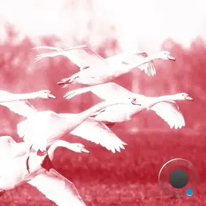 Mioche - Kummer - Remixes (2025)