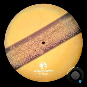 Frieder - Beyond the Linear (2025)