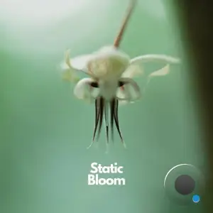 Jason Cogua and The Sirius Frequency - Static Bloom (2025)