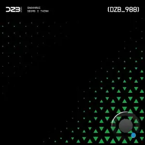 Shakhrai - Seems I Think (2025)