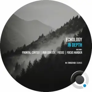 Echology - In Depth (2025)