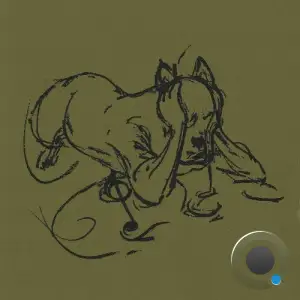 trailcam - Drumlin Loop (2025)
