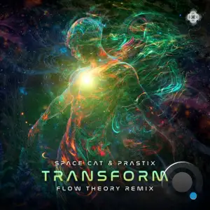 Space Cat & Prastix - Transform (Flow Theory Remix) (2025)