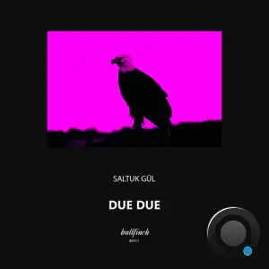 Saltuk Gül - Due Due (2025)