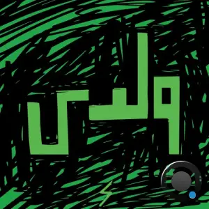 Husa & Zeyada - Waladi (Joey Remix) (2025)