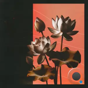 Amoss & Hugh Hardie - Lotus (2025)