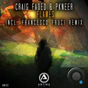 Pkneer & Craig Faded - Flames (2025)