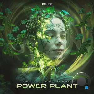 Disconect & Polygrams - Power Plant (2025)