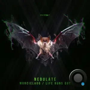Nebulate - Murcielago/Life Runs Out (2025)