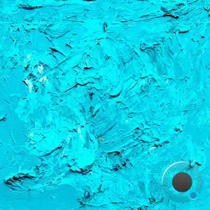 Various Grooves X (2025)