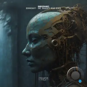 Seizmic - Downshift (2025)