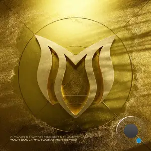 Aimoon Vs. Roman Messer And Ridgewalkers - Your Soul (Photographer Remix) (2025)
