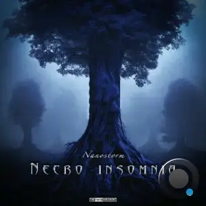 Nanostorm - Necro Insomnia (2025)