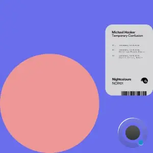 Michael Hooker - Temporary Confusion (2025)