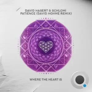 David Hasert & Shlomi - Patience (David Hohme Remix) (2025)