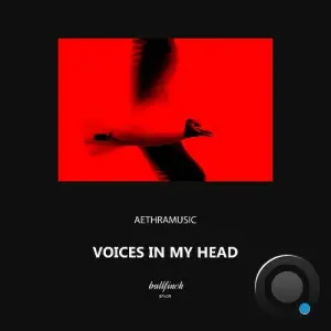 Aethramusic - Voices in My Head (2025)