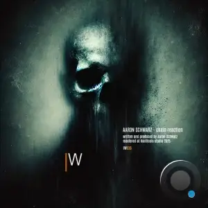 Aaron Schwarz - Chain reaction (2025)