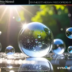 Huego - No Need (2025)
