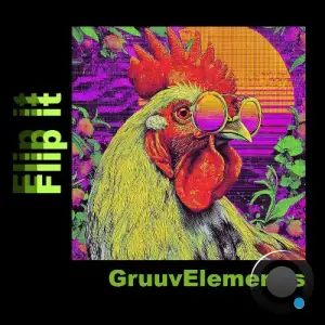 GruuvElement's - Flip it (2025)
