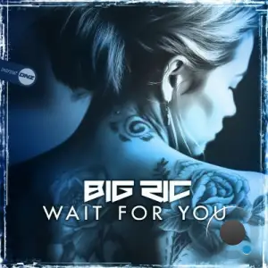 Big RIC - Wait For you (2025)
